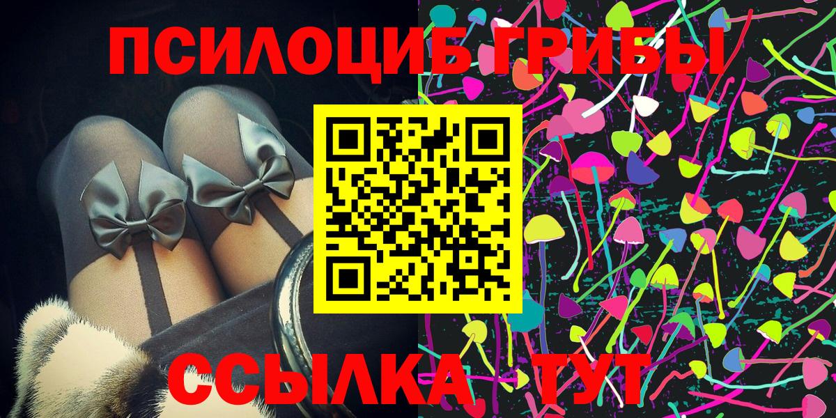 Псилоцибиновые грибы MAGIC MUSHROOMS  Вход с VPN  Элиста  Псилоцибиновые грибы мухоморы 