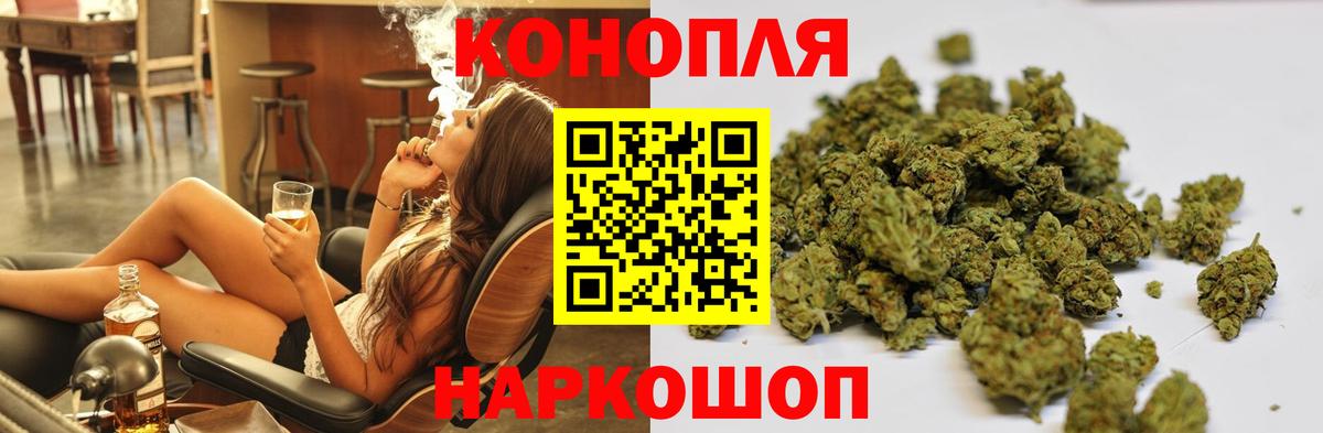 Бошки Шишки семена Элиста